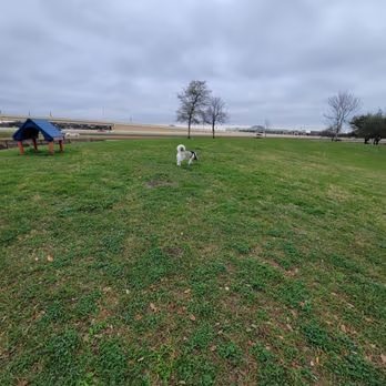 Southdown Dog Park photo 2